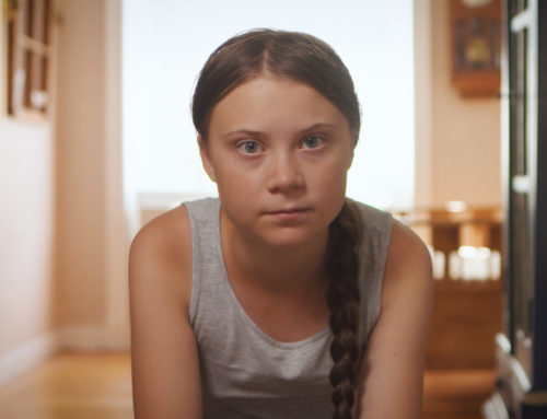 “Nature Now,” A Short Film Narrated by Greta Thunberg and George Monbiot