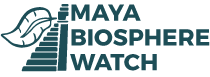 Maya Biosphere Watch Logo