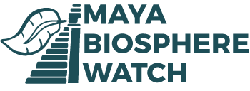 Maya Biosphere Watch Logo